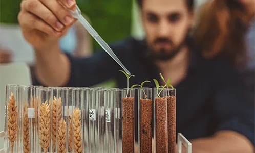Researcher testing soil and plant samples in test tubes