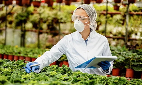 Scientist recording crop data in a greenhouse