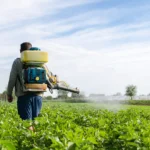 agrochemicals